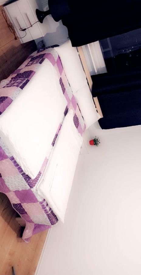 Sehr Schoene Drei Zimmer Deluex Wohnung In 진델핑겐 외부 사진